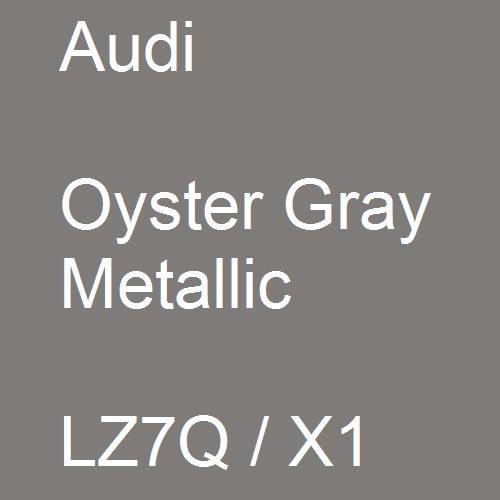 Audi, Oyster Gray Metallic, LZ7Q / X1.